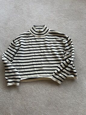 Cider Black and Cream Striped Turtleneck